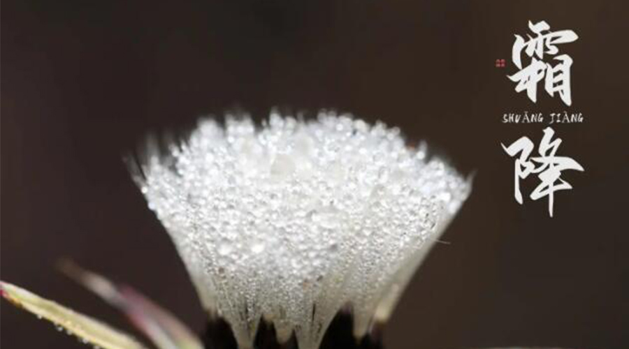 霜降時節！金環電器提醒大家要注意的事項