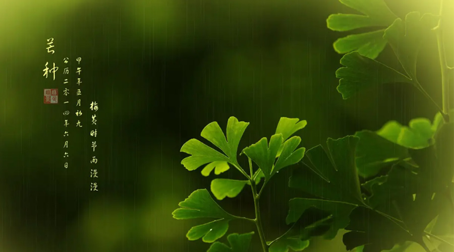 芒種時節！金環電器提醒大家的注意事項