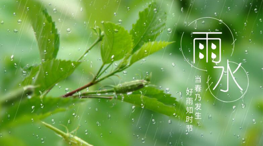 雨水時節！金環電器提醒大家要注意的事項