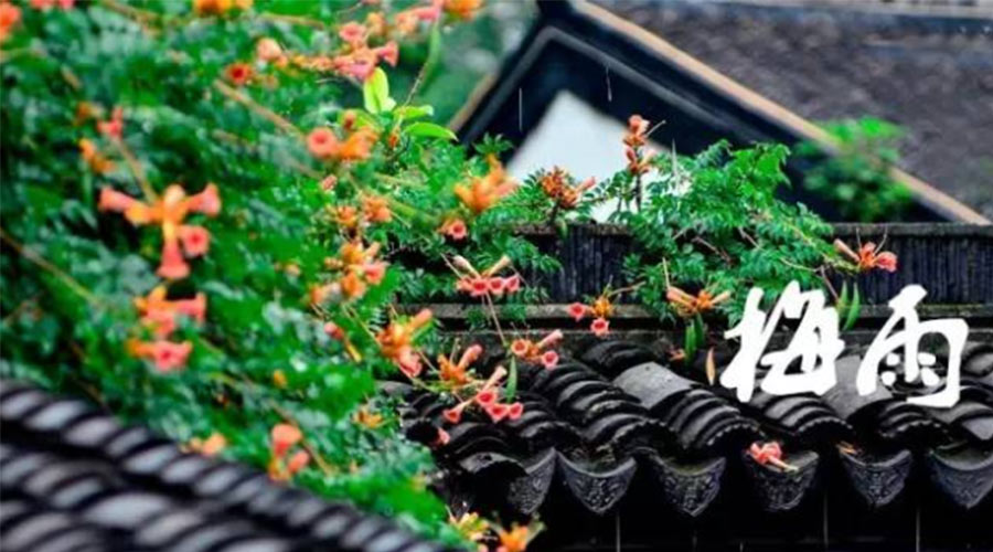 什么是梅雨？梅雨如何形成？  金環(huán)電器告訴你答案